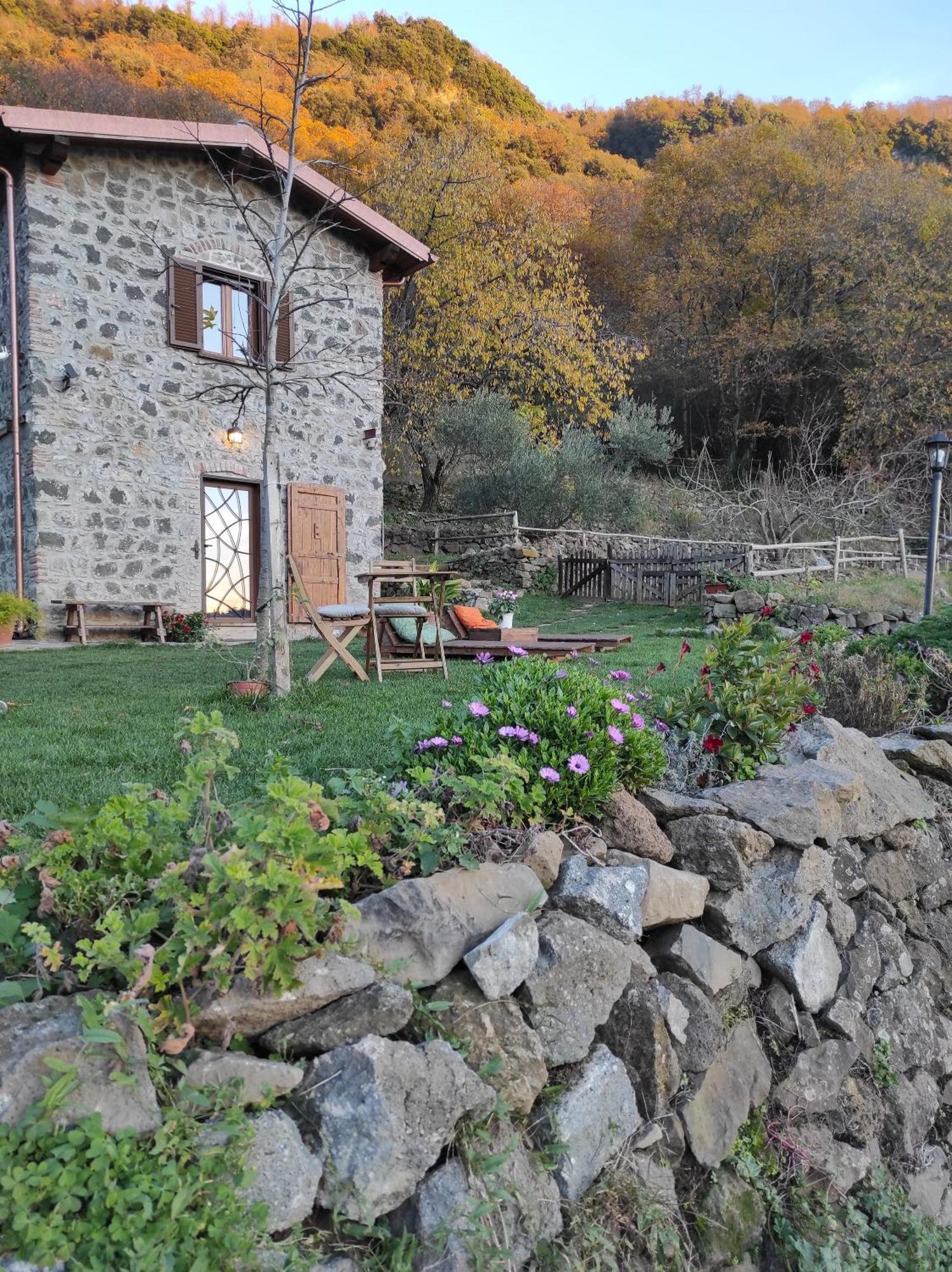 Il Nemus Agriturismo Villa Nemi Eksteriør billede